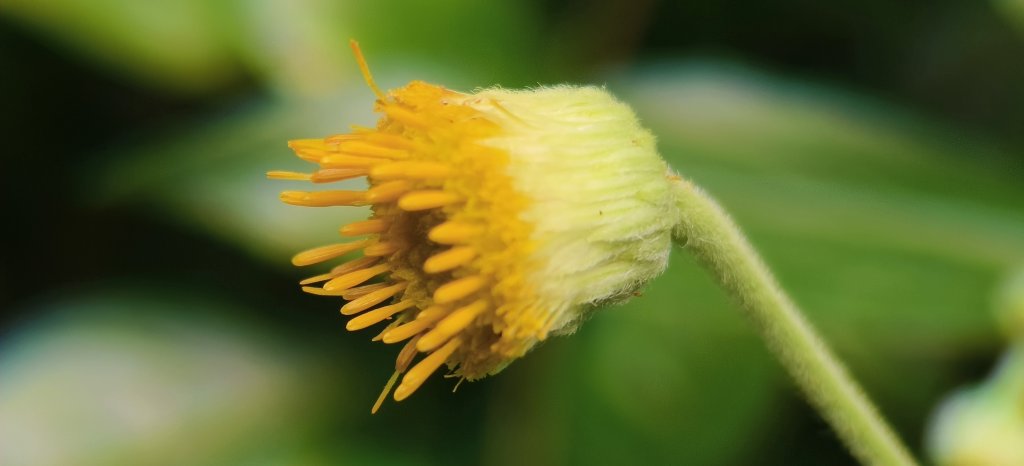 2025/10/26_馬胎古道_2925722