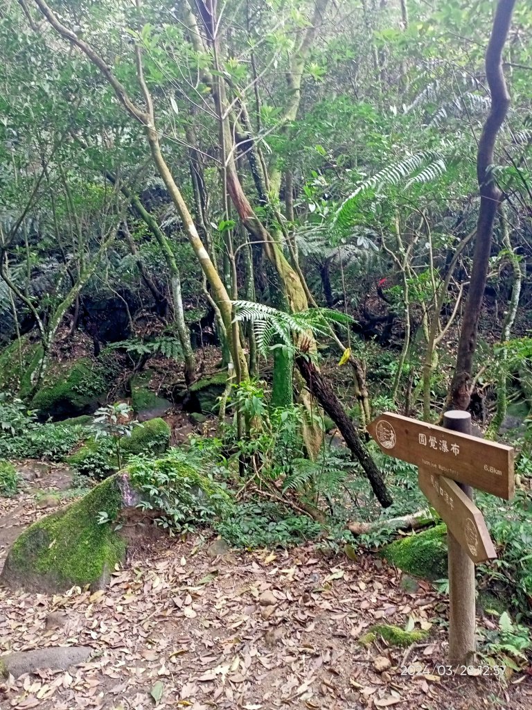 【臺北大縱走4】風櫃嘴→雙溪溝古道→五指山古道→大崙頭山北面步道→許願步道→圓覺寺步道→大溝溪→大湖_2469076