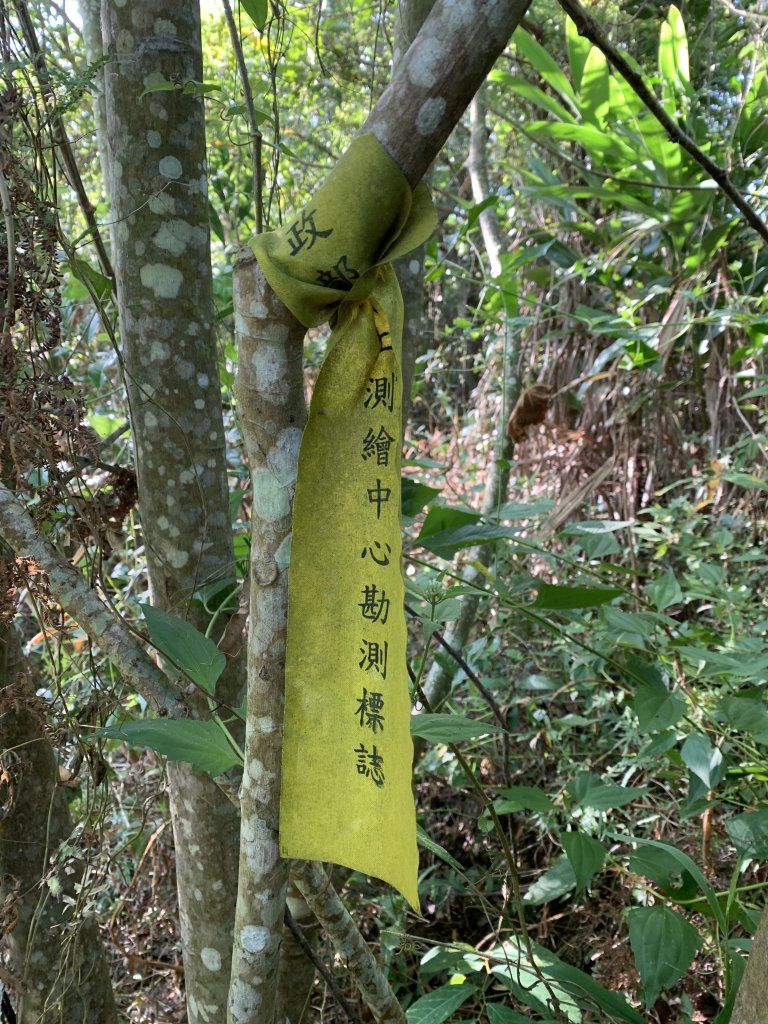 20251115台南南庄山_2938067