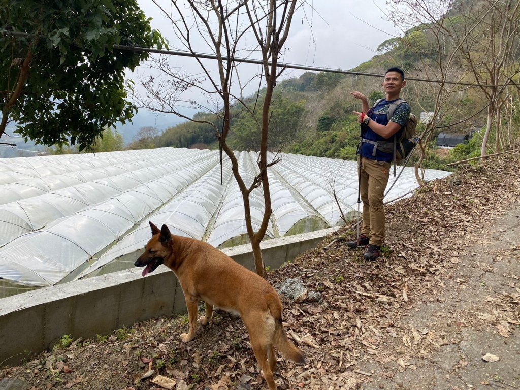 望鄉部落.獵人古道.望美山.瓊山【人與自然山林的恩怨情仇】_2731371