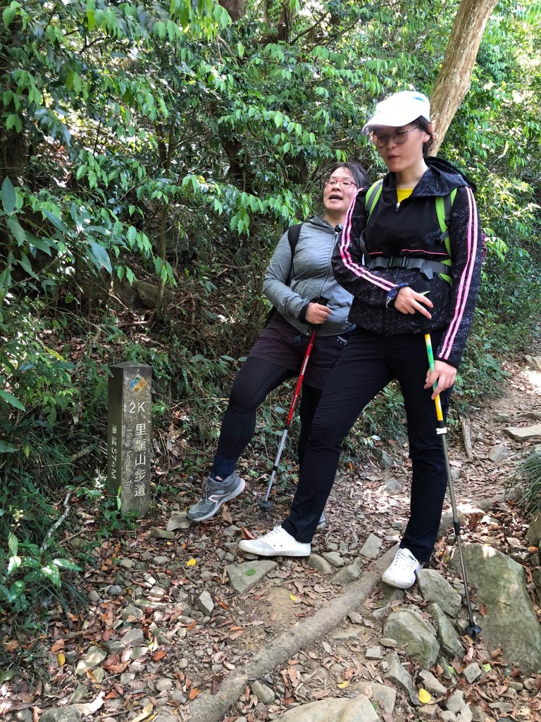 2020.03.08里龍山_878262