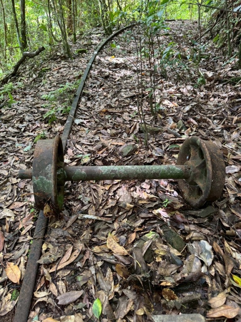 悠遊林鐵遺跡封面圖