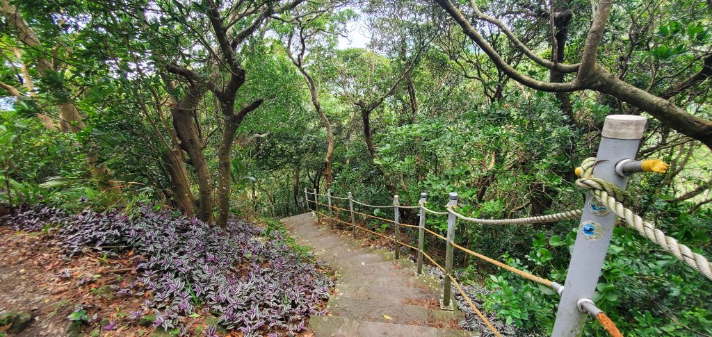 2024-06-15觀音山【福隆山、尖山(占山)登山步道】O走封面圖