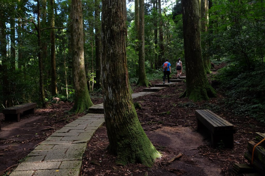 桃園復興區  東卡O縱_2823801
