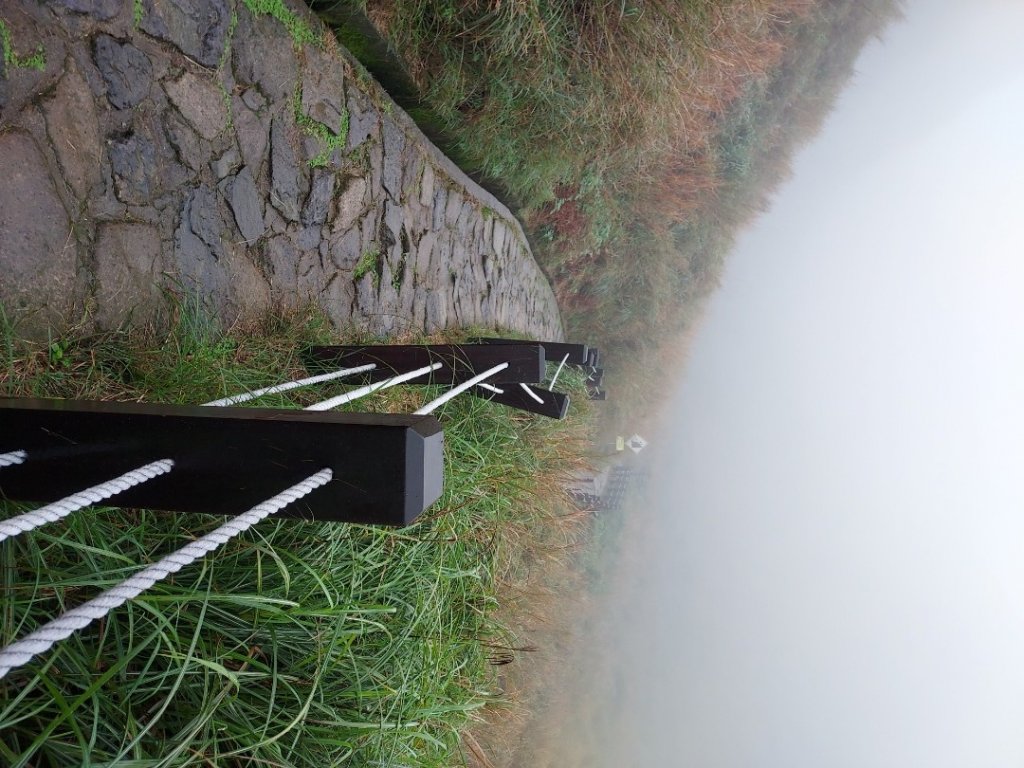 小油坑～七星山～冷水坑～擎天崗_1940724