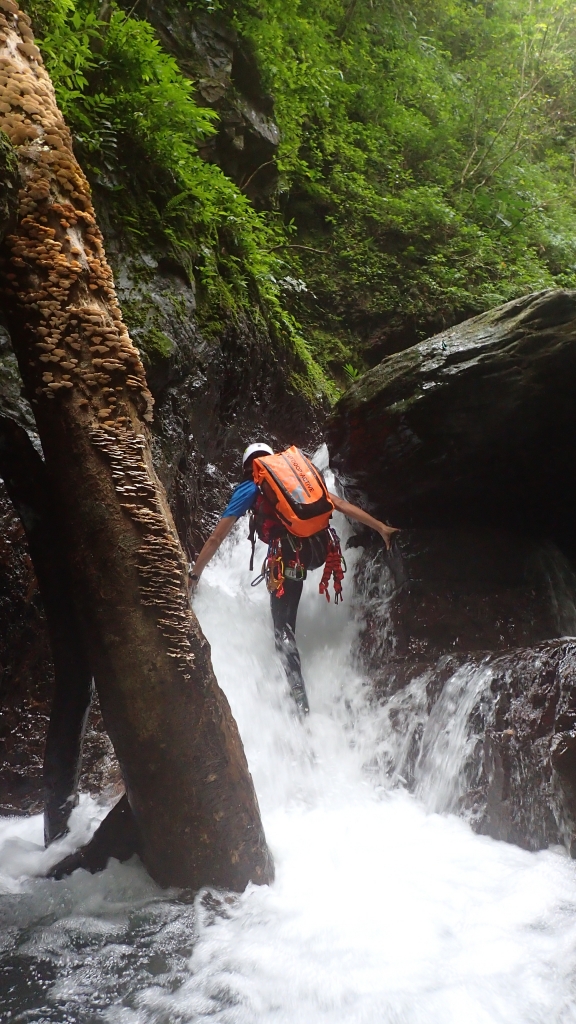 得子口溪-石磐峽谷瀑布群_53842