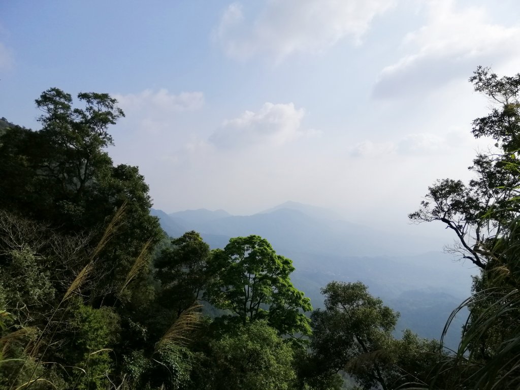 台南白河~台南第一高峰。 關仔嶺大凍山_917822