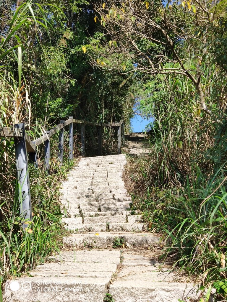 雲嘉大尖山.二尖山_525040