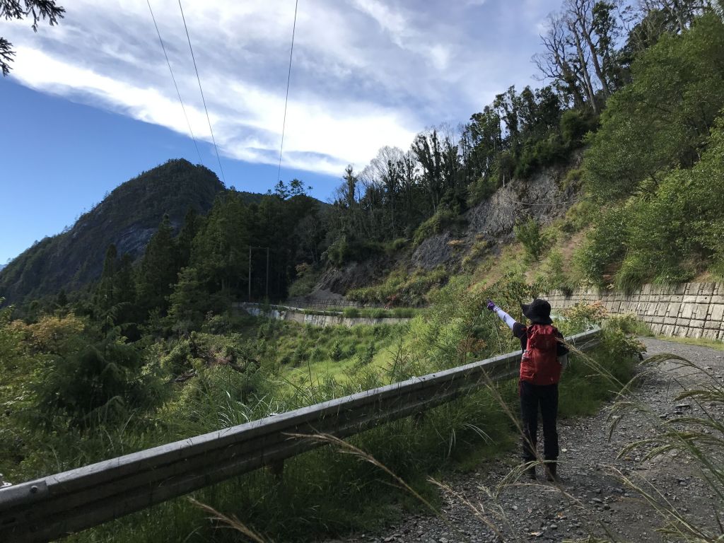 觀霧.榛山.雲霧步道_179010