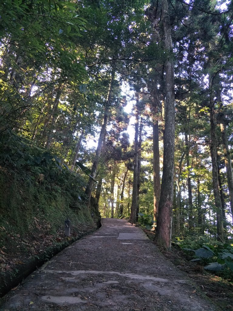 2020 10 28 東眼山自導式步道_1146575