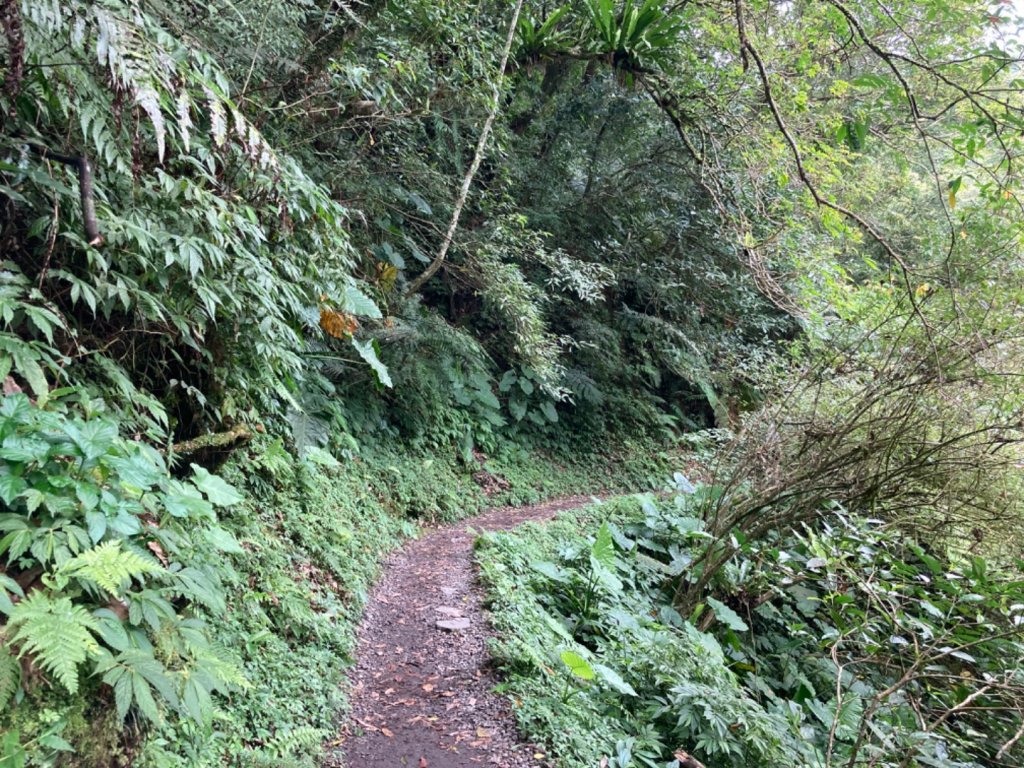 林美石磐步道_2297940