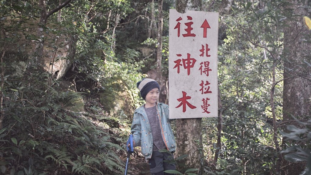 Ptlaman來試試看｜北得拉曼巨木步道＋內鳥嘴山_1940810
