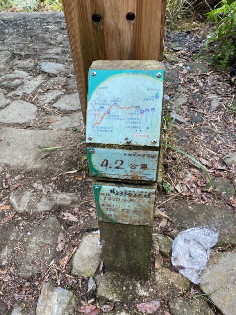 水社大山水晶蘭大爆發_881636