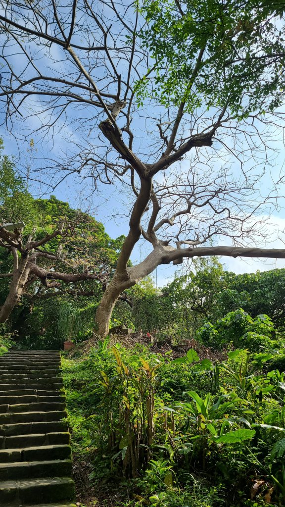 2022-0226天母古道到新北投捷運_1618945