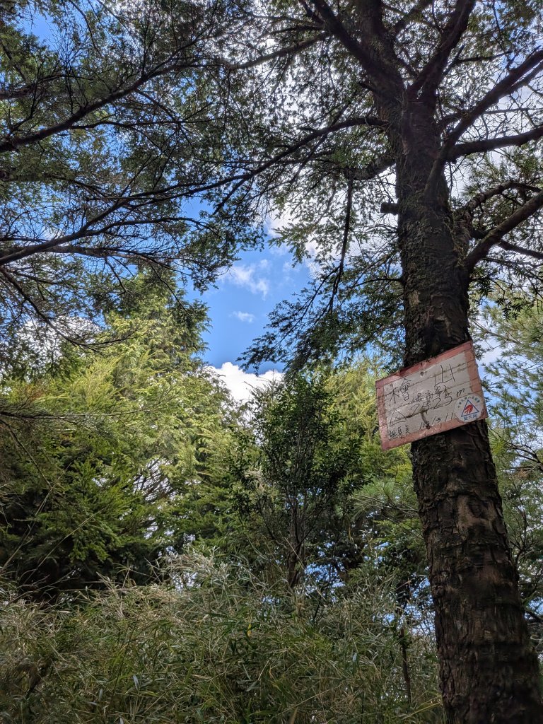 結界縱走三日(結城山、境界山、檜山)_2920916