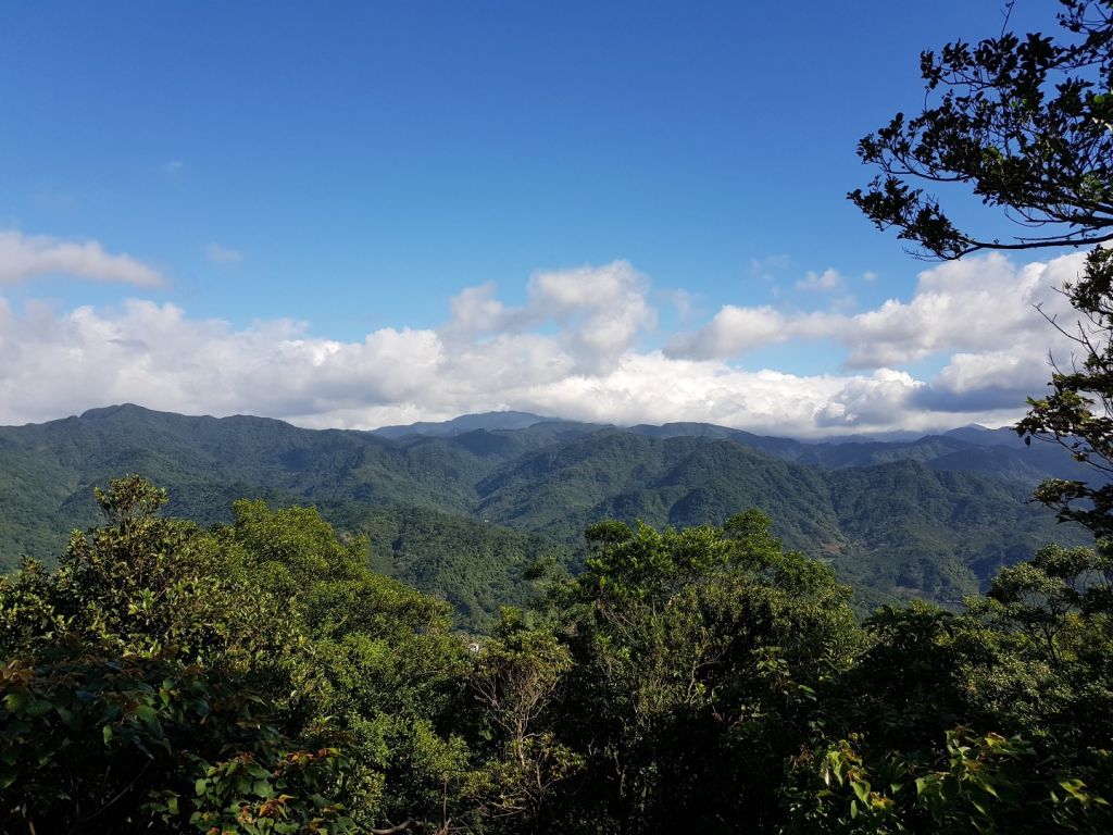 2018.07.16 土城三粒半、天上山_408521