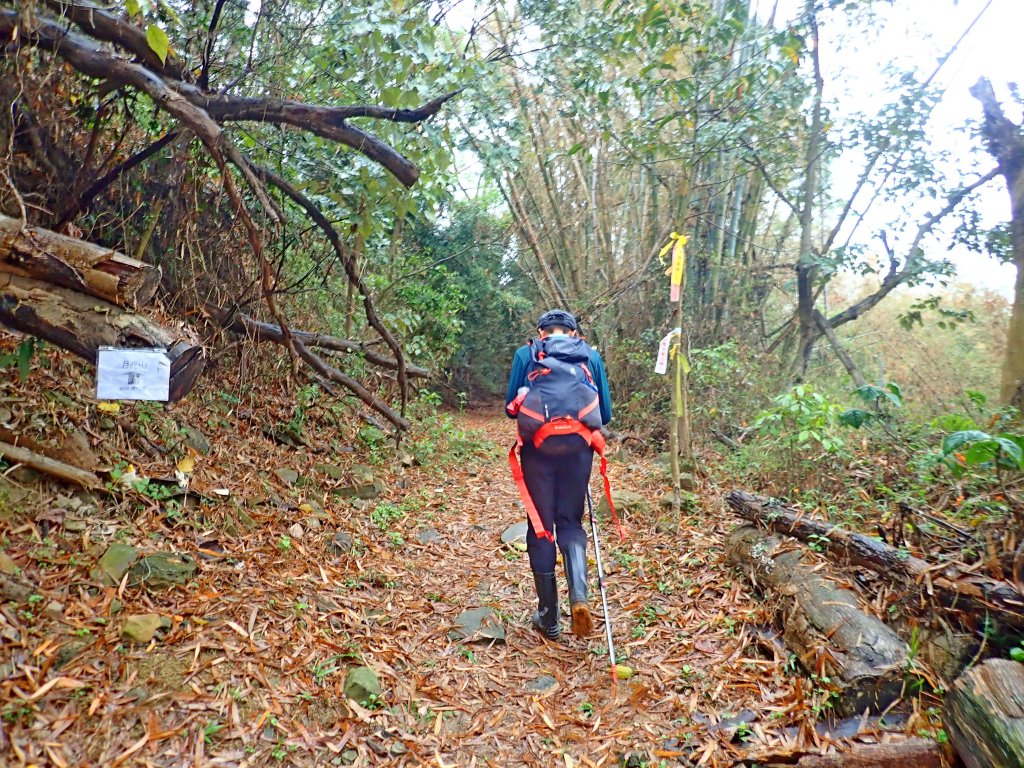 旗月縱走 2019/3/24_551800