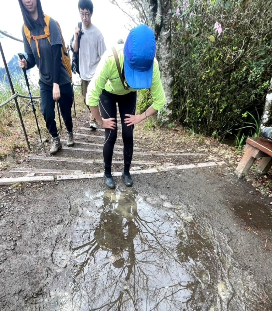 小百岳馬那邦山(H1407m)加碼採草莓_2694697