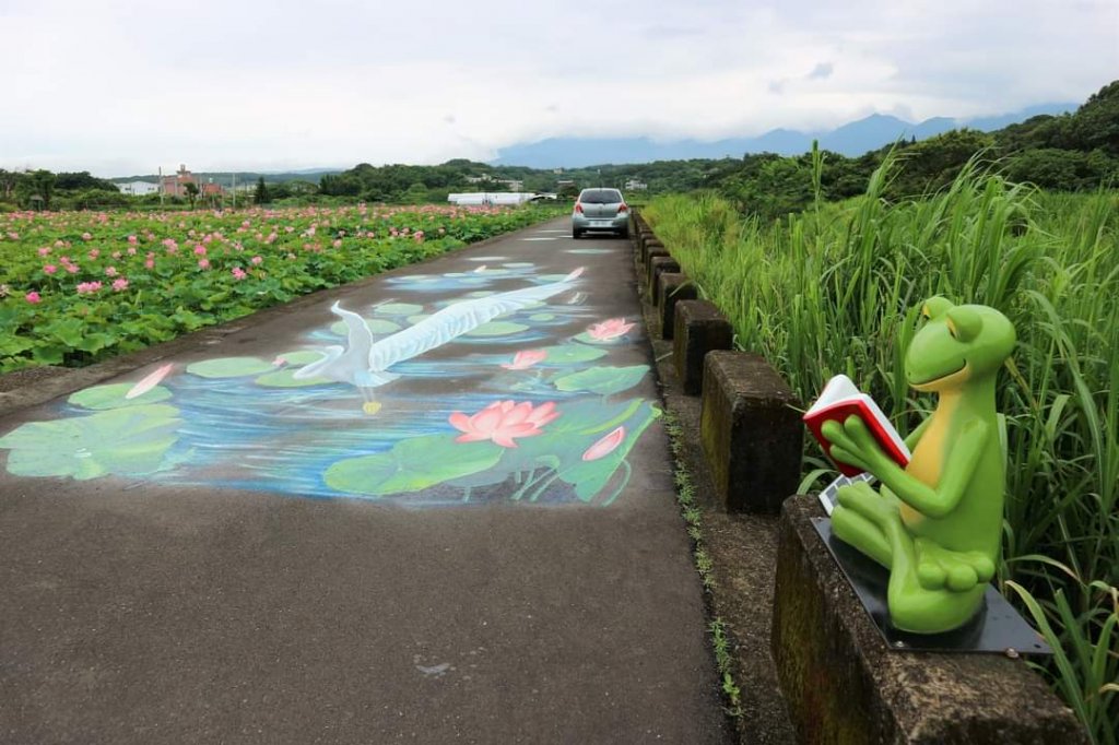 淡水 屯山里石頭厝荷花 ，金山清水濕地牡丹蓮。漫步在大屯溪畔   欣賞大屯溪出海口 六塊厝漁港石滬群封面圖