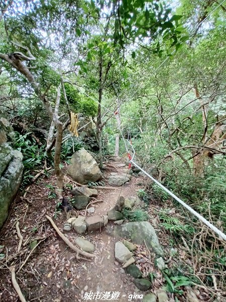 【屏東獅子】山海相望。 小百岳集起來。 編號80小百岳~里龍山自然步道_1734752