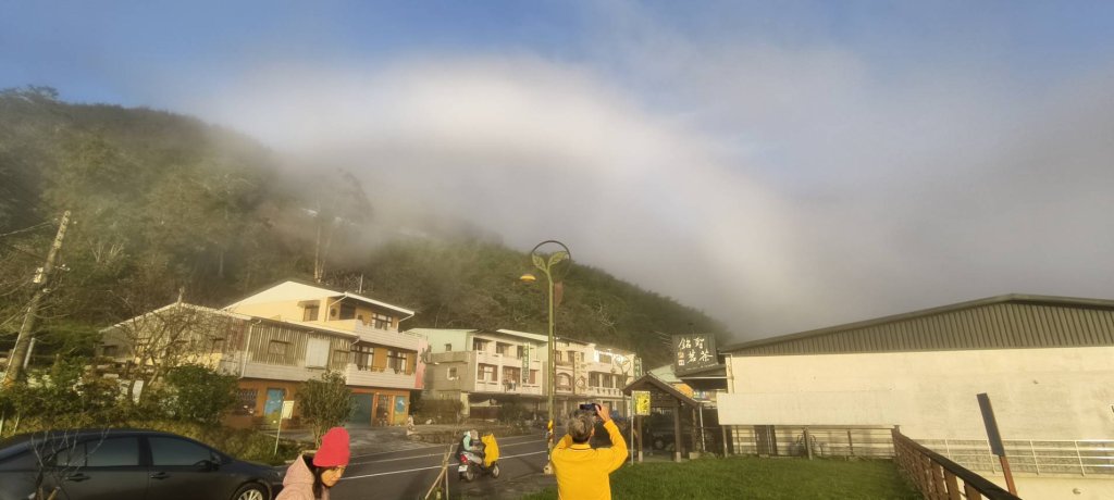 阿里山 #隙頂二延平 #頂石棹 #觀音圈 #雲海 #琉璃光 #雲瀑 #霧虹 11/17_2649731