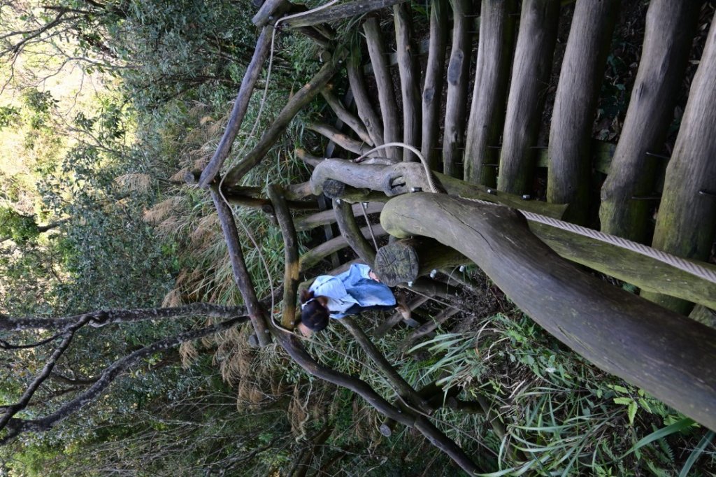 110.11.19 大坑五號、五之一號步道_1519336