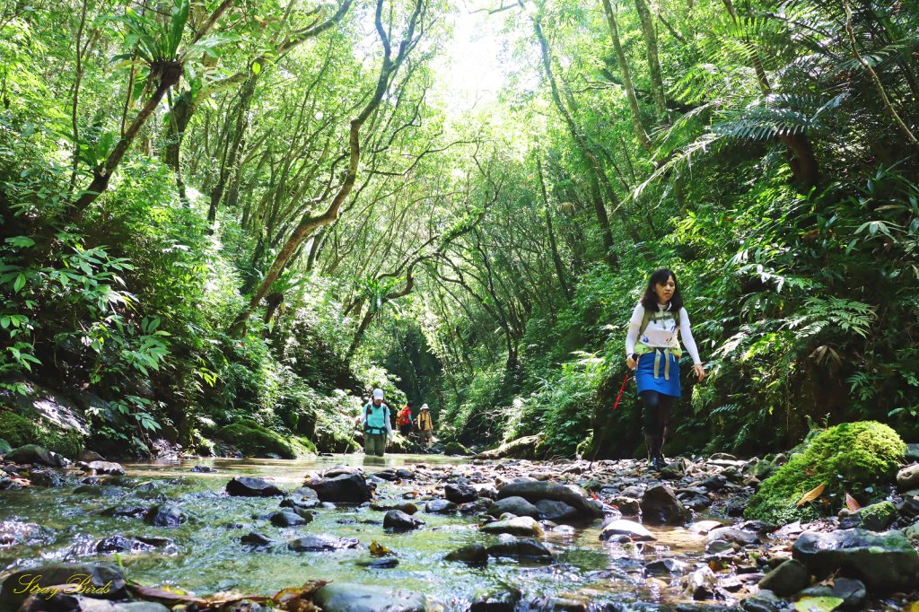 【淡蘭中路秘境】美得令人窒息的坪溪水路_1453341