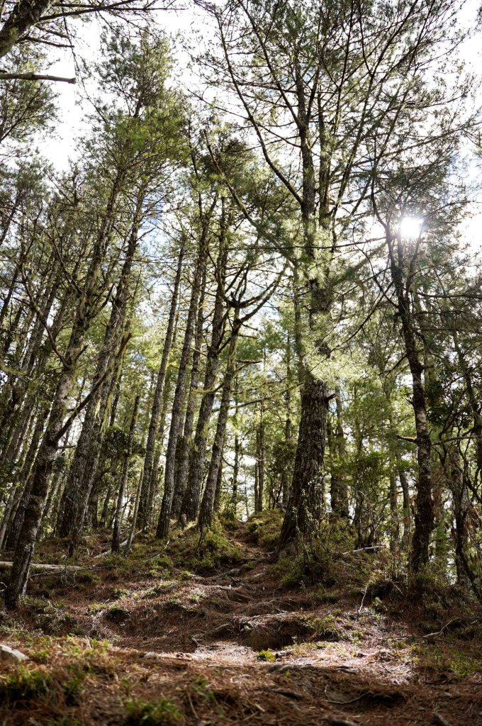 戒茂斯上嘉明湖三天兩夜_2769406