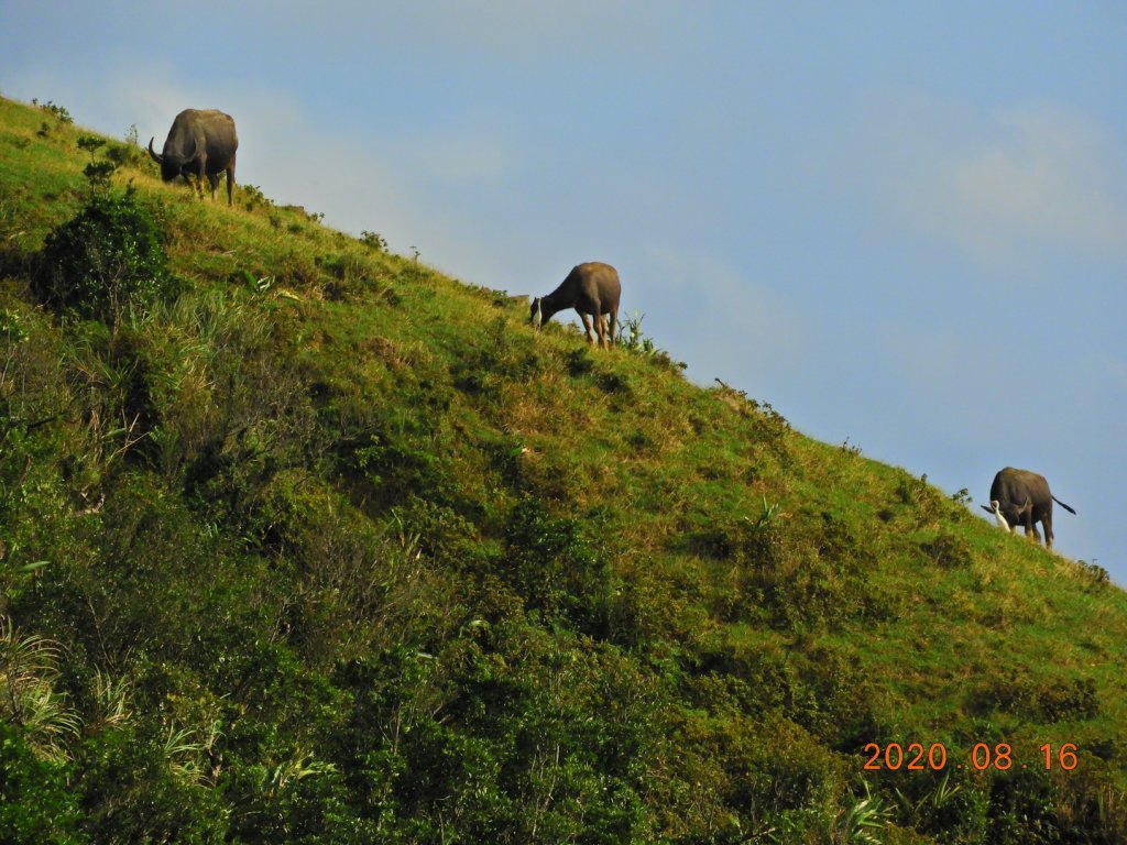 宜蘭 頭城 灣坑頭山_1068709