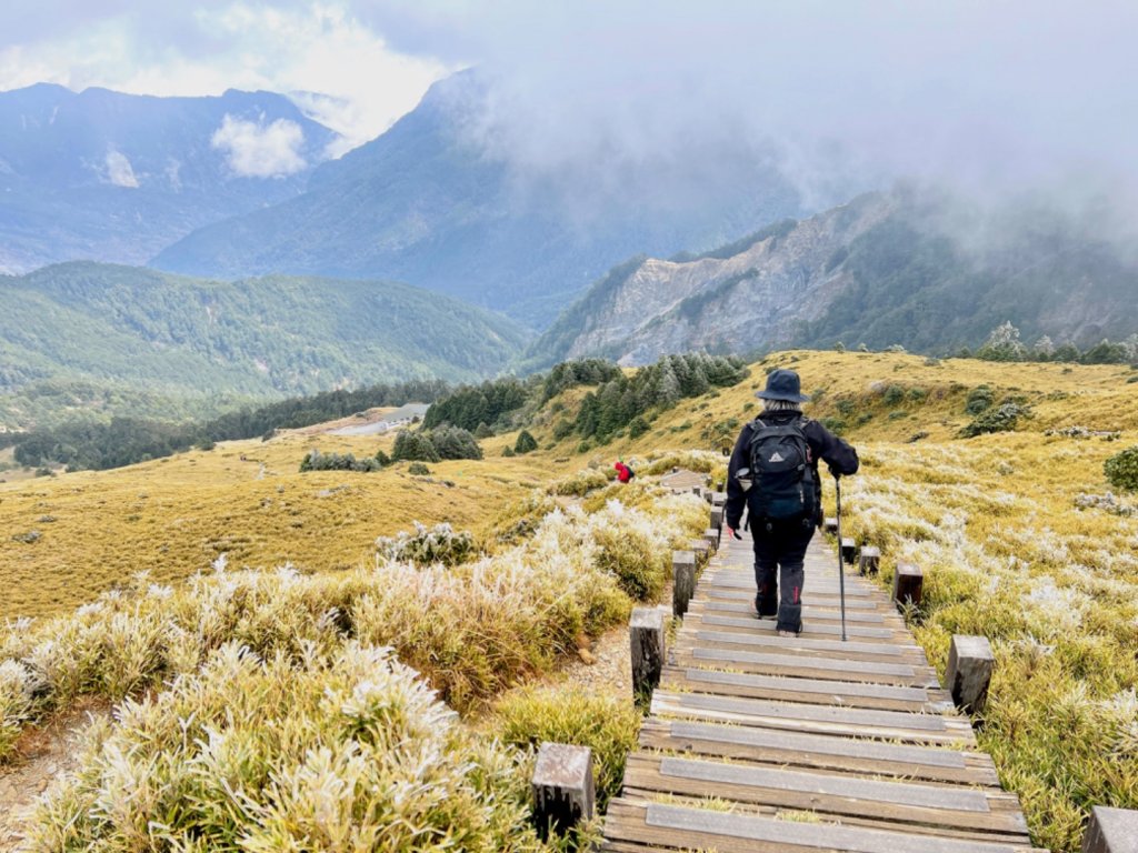 霧淞白頭合歡東_2071805