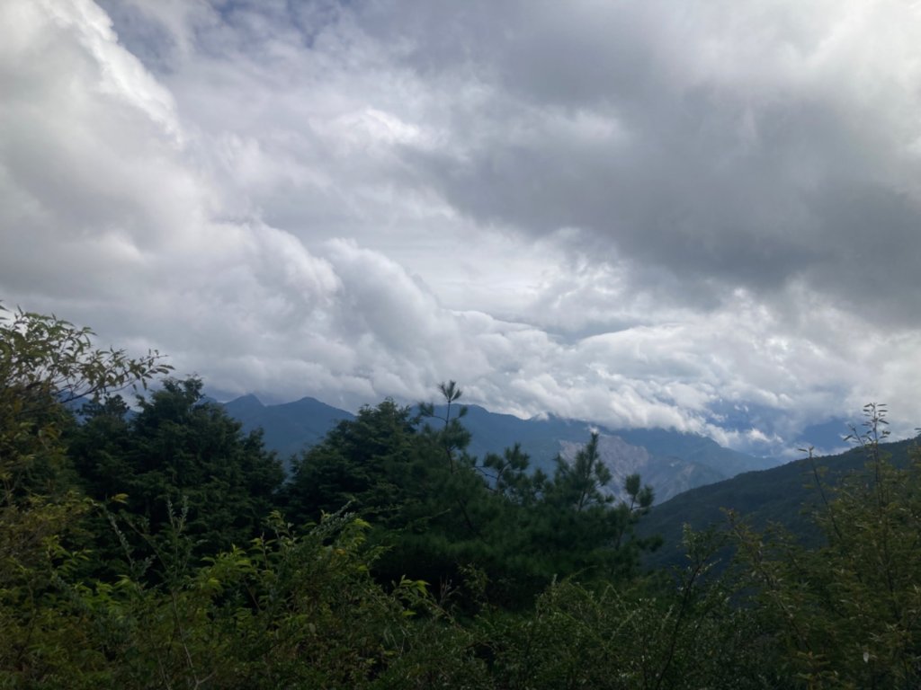 雲霧步道_2316059