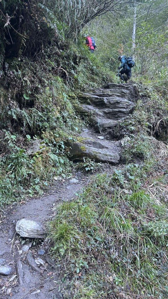 南橫三星_2977947