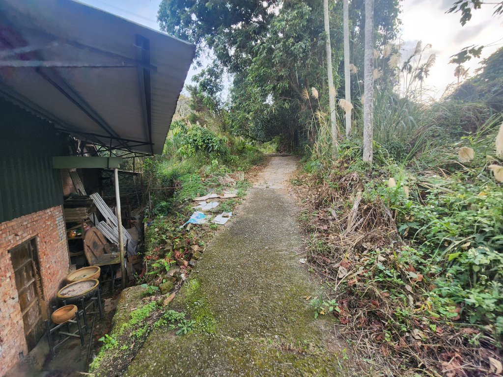 2026022面桶寮山小分林山大分林山_3013049