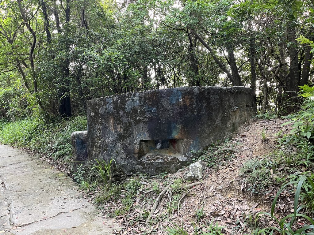 [山頂鳥40周年會員大縱走-14/15] 2024_0804 劍潭山親山步道_2566177