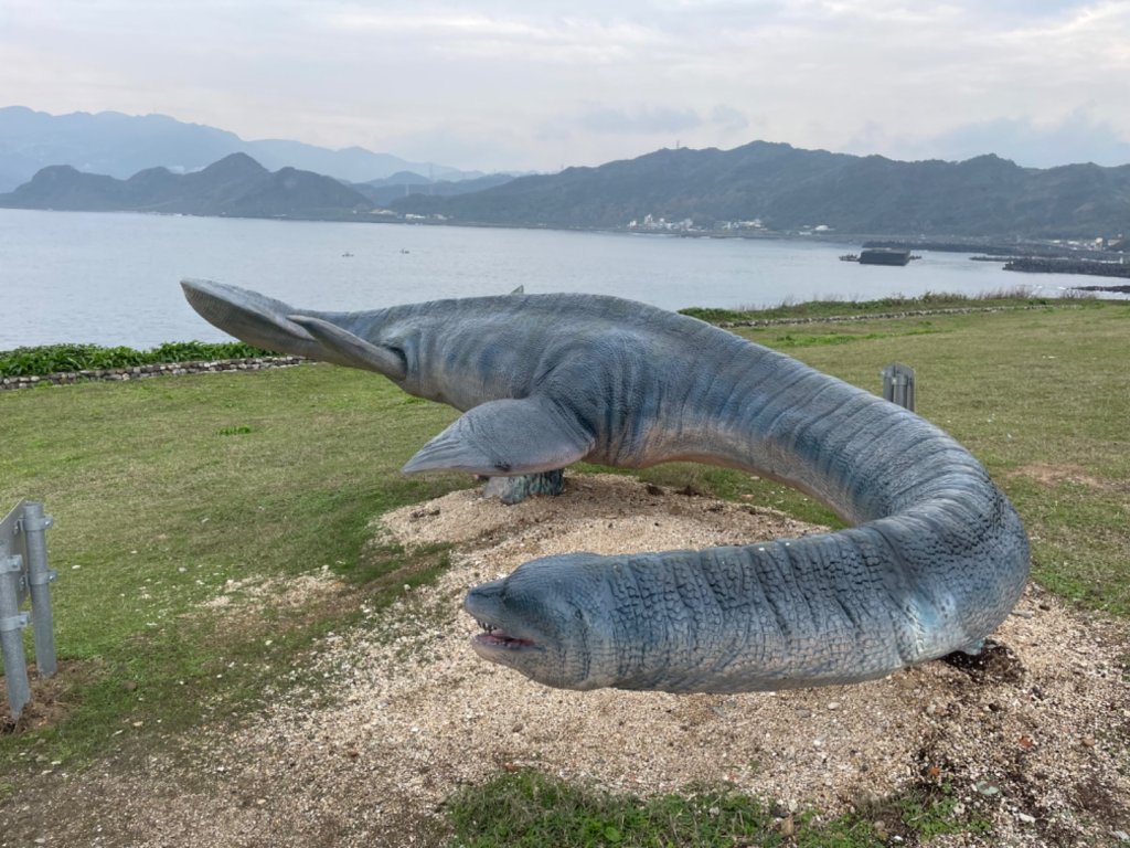 基隆尋找7隻傘人家族_2720900