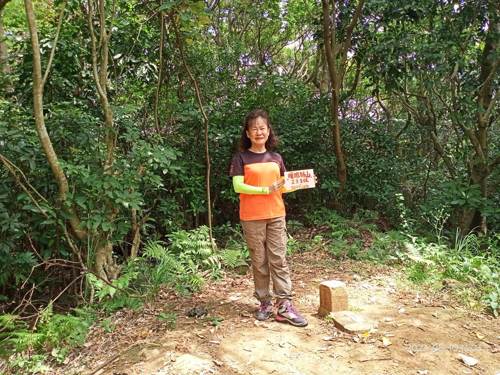 【臺北大縱走 1、走路趣尋寶】北投清天宮→下青礐步道→貴子坑步道→小坪頂路→忠義山步道→捷運關渡站_2244778