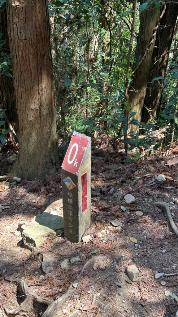 裡冷上唐麻丹O繞+蝴蝶谷_2742920