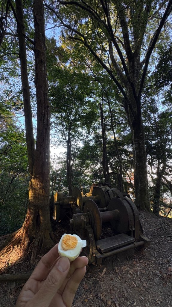 冬ㄖ奇遇_2972366