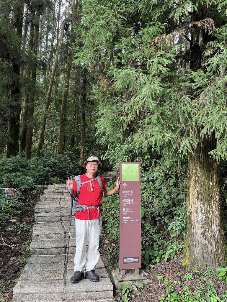 [嘉遊好步道．來嘉走走-04/10] 2024_1011 阿里山頂湖步道_2624666