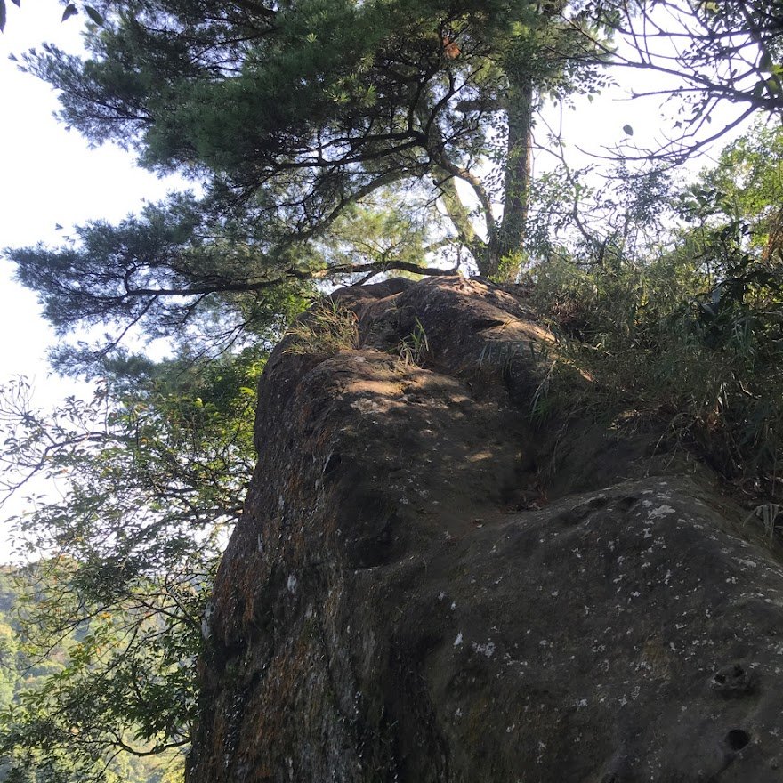 大溪金面山_分水崙登山口探路20220801封面圖