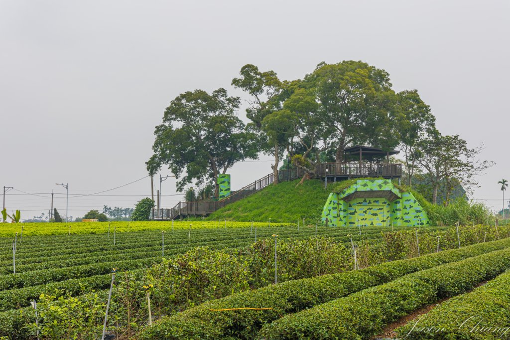 [南投]松柏坑山封面圖