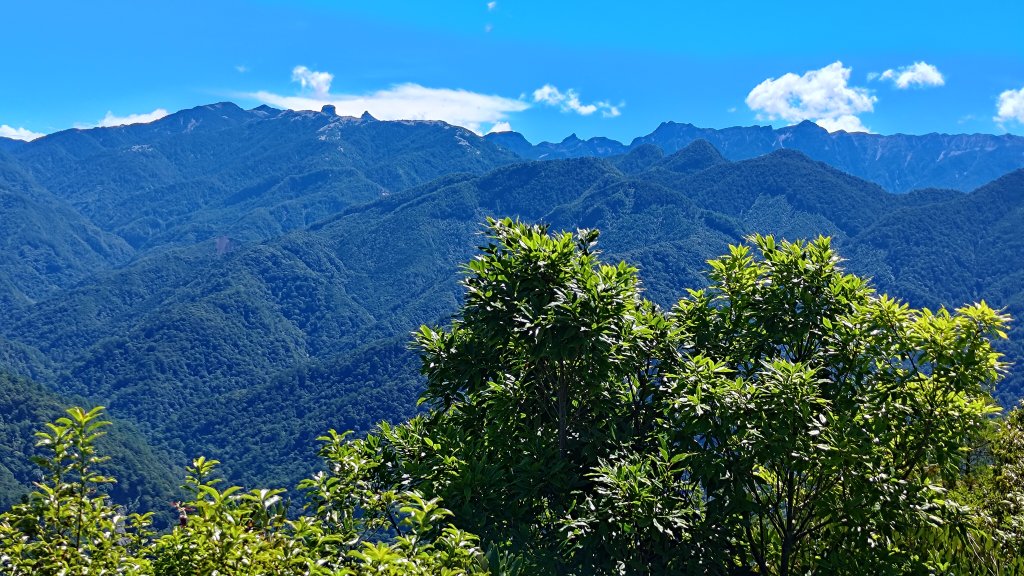 榛山景觀平台封面圖