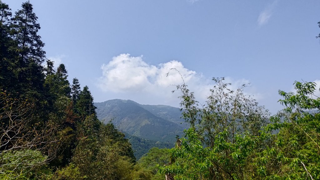 溪頭鳳凰山_2759181