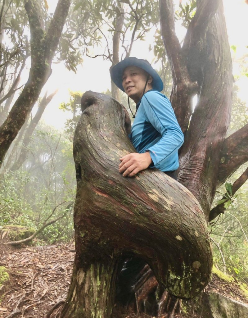 橫嶺山、鳶嘴山O 走_1661030