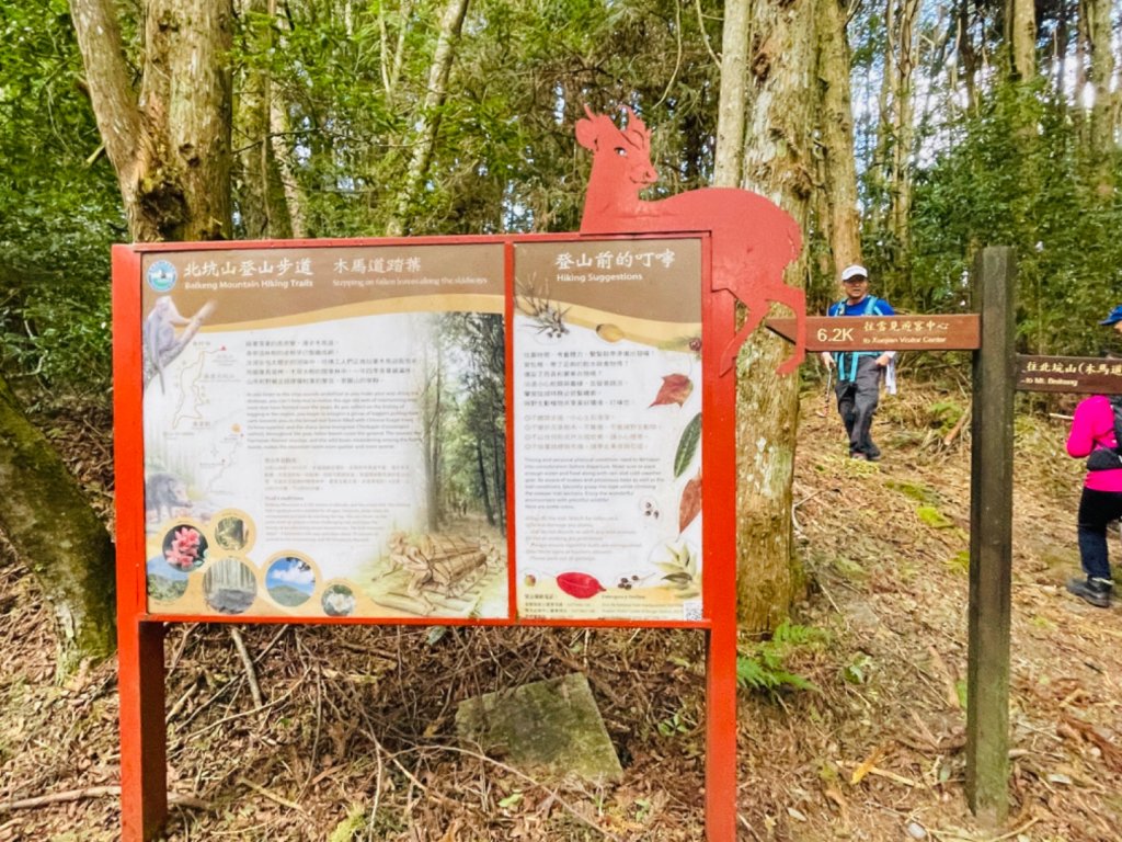 1111104二訪雪見大板根_1899286