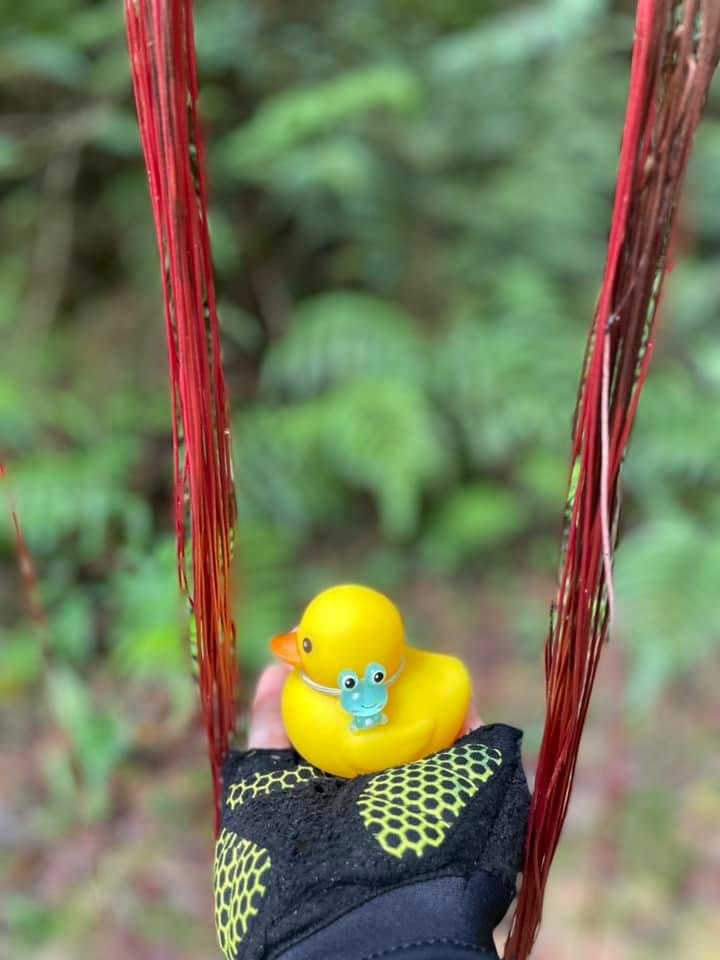 淡蘭古道北中南路全段共15段_2567913
