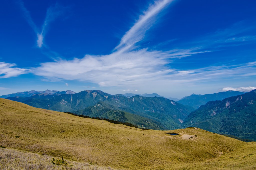 合歡山北峰/高山杜鵑  2021/04/30_1368404