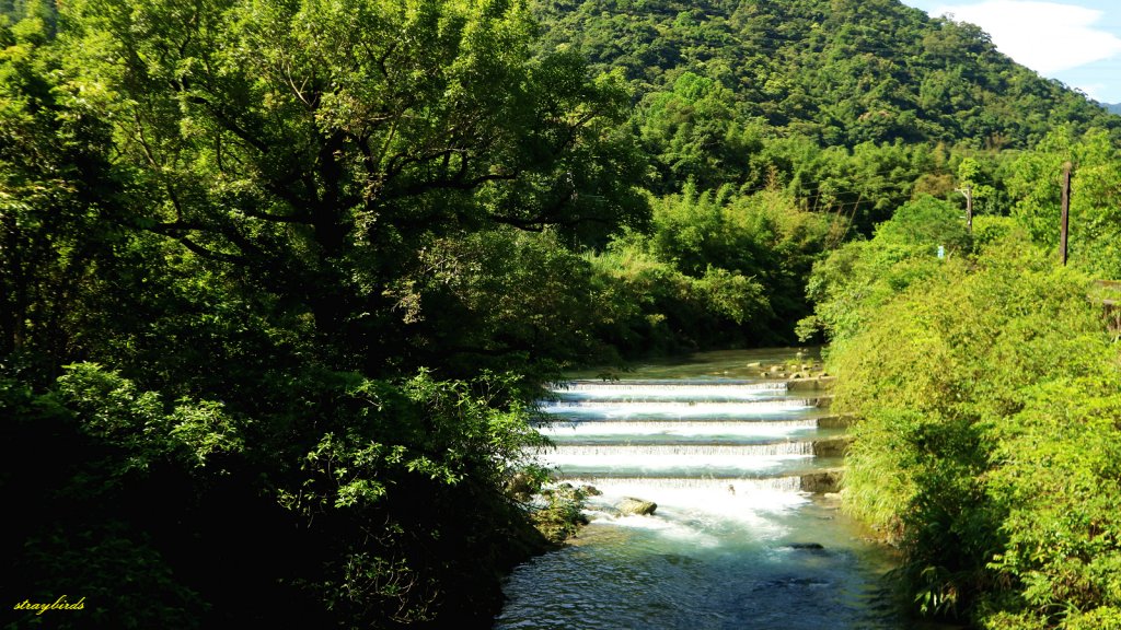 【淡蘭中路】翻山越嶺的茶商之道_981241