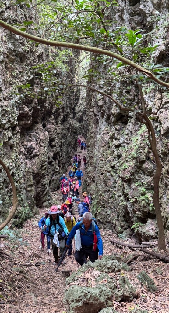 大崗山(小百岳#74)龍盤峽谷一線天_2765003