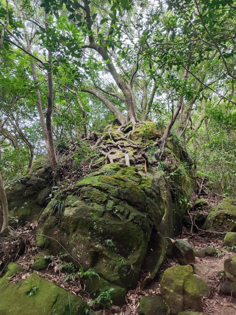 微笑山線之望月亭段_2849023